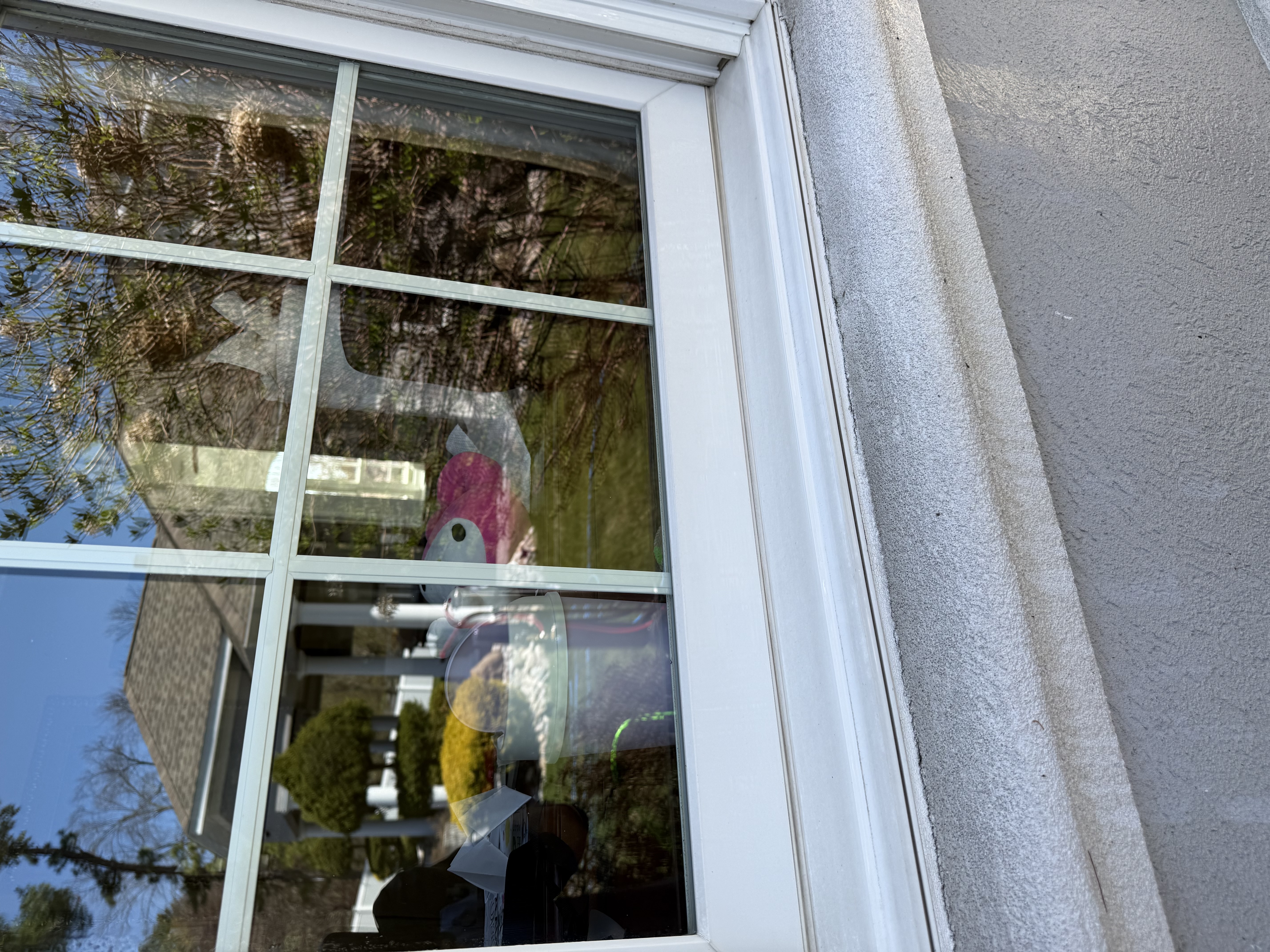 After window cleaning