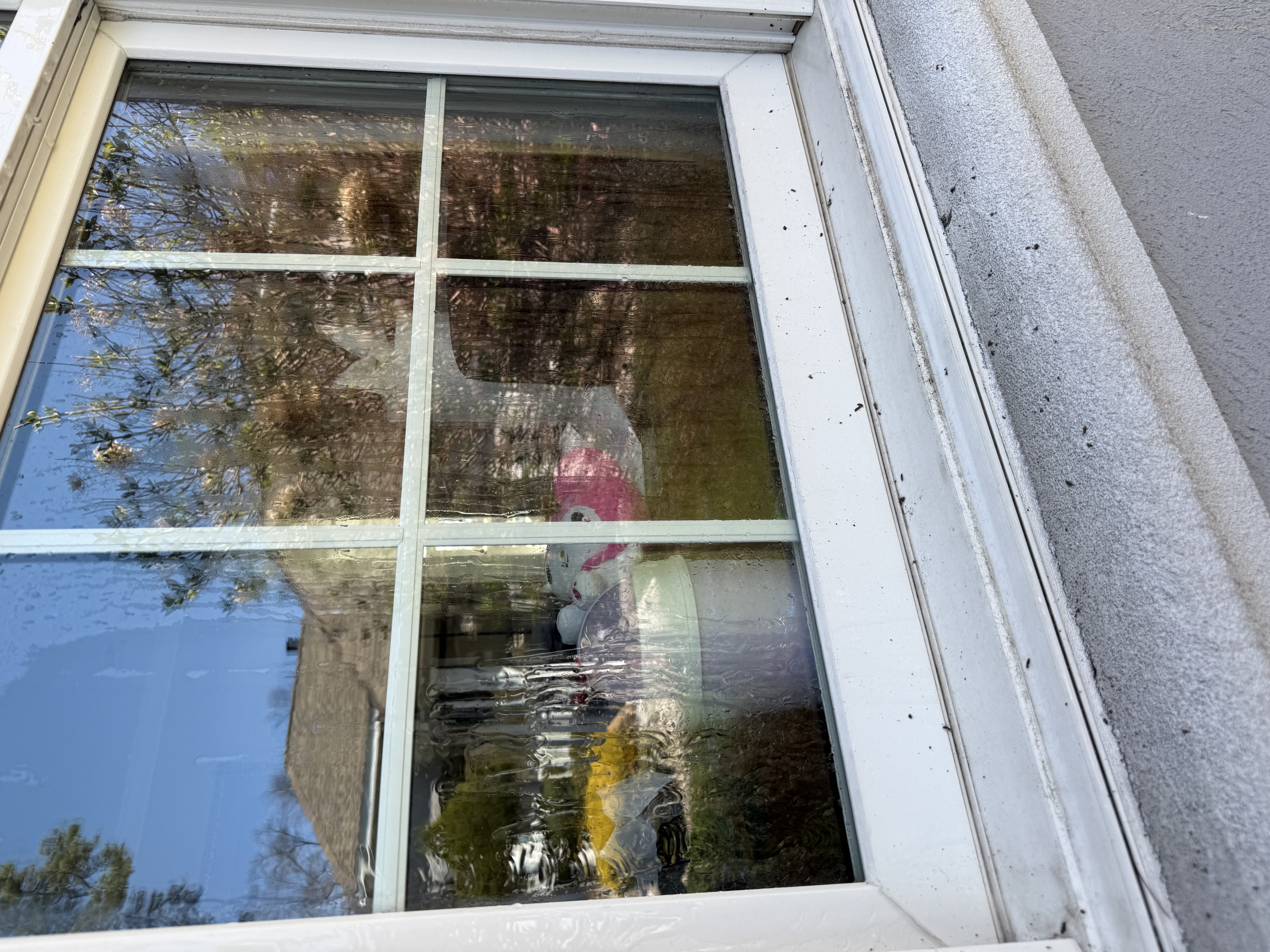 Before window cleaning